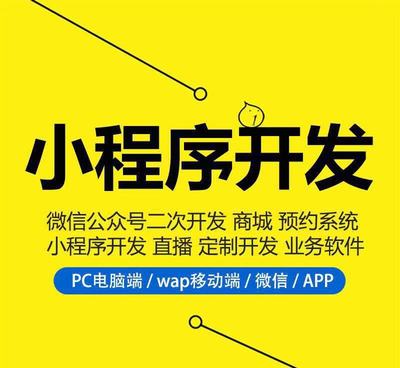 宜春市靖安县开发一个小程序,网站需要价格